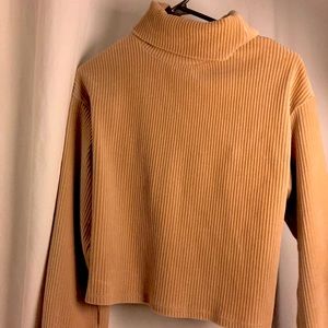Trendy neutral toned turtleneck